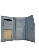 M378 143 CELESTE U(2)