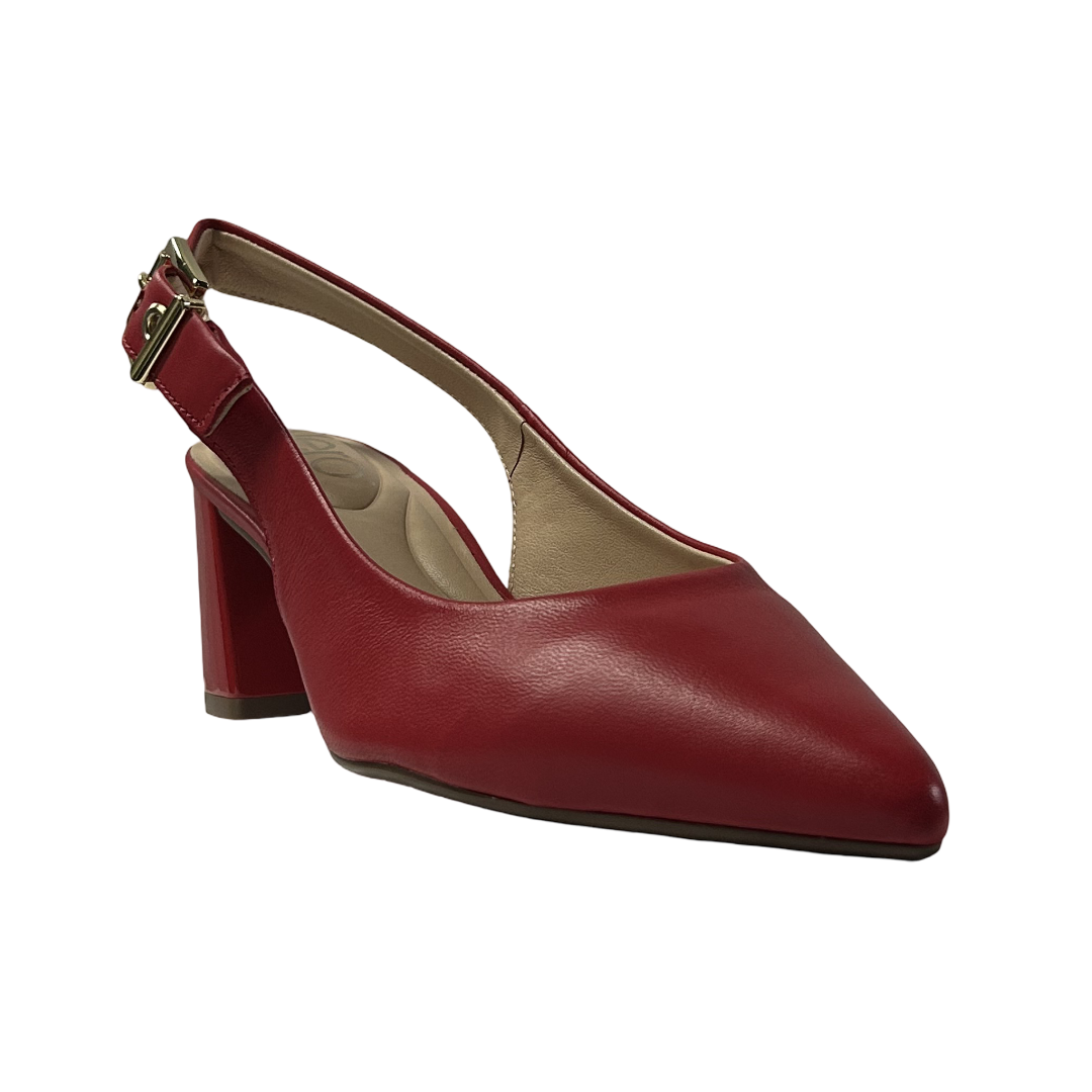 S11999-ROJO.2