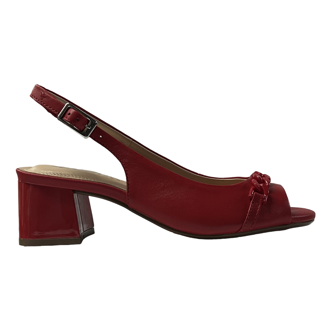 S12050-ROJO.1