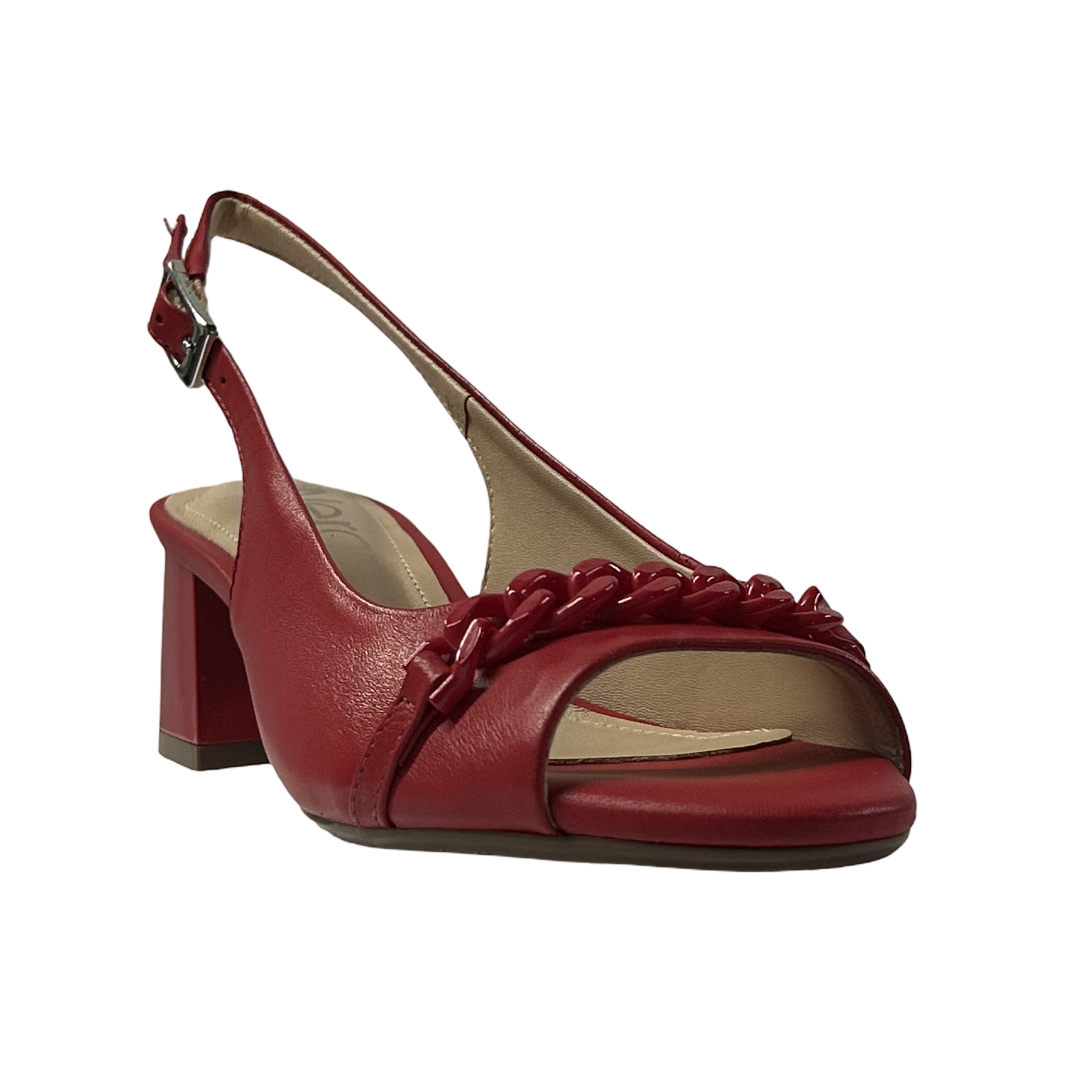 S12050-ROJO.2