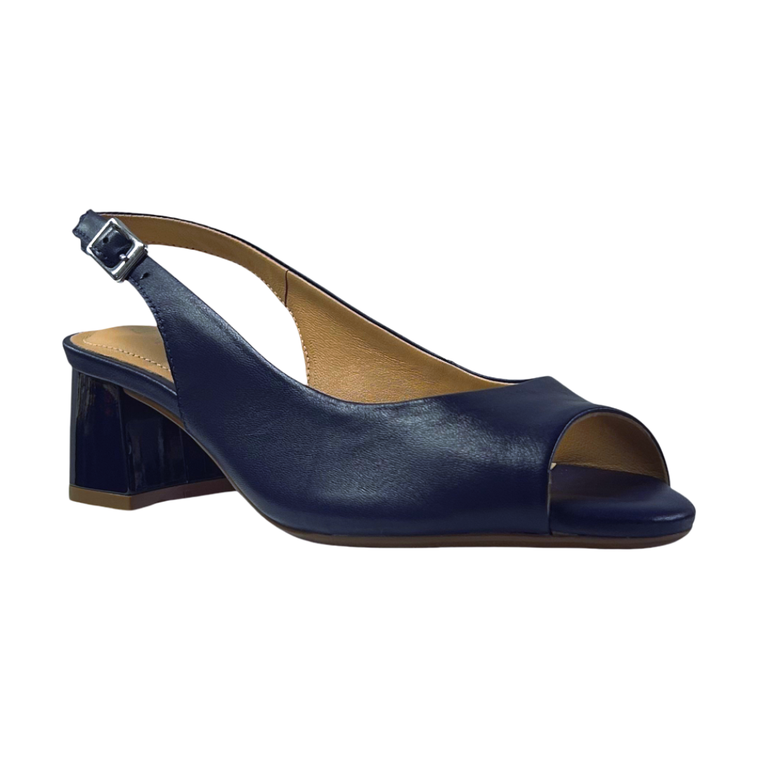 S12051-AZUL-2-2