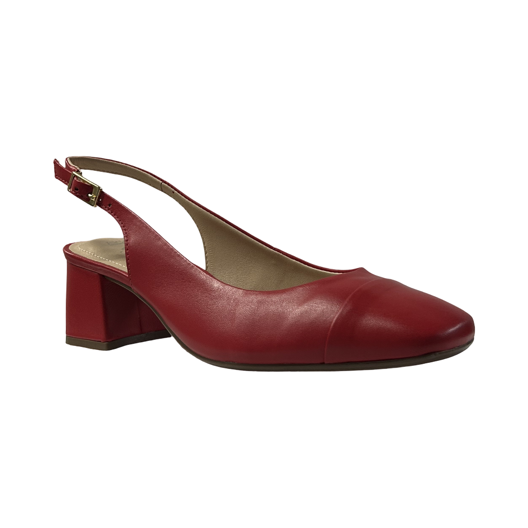 S12059-ROJO.2