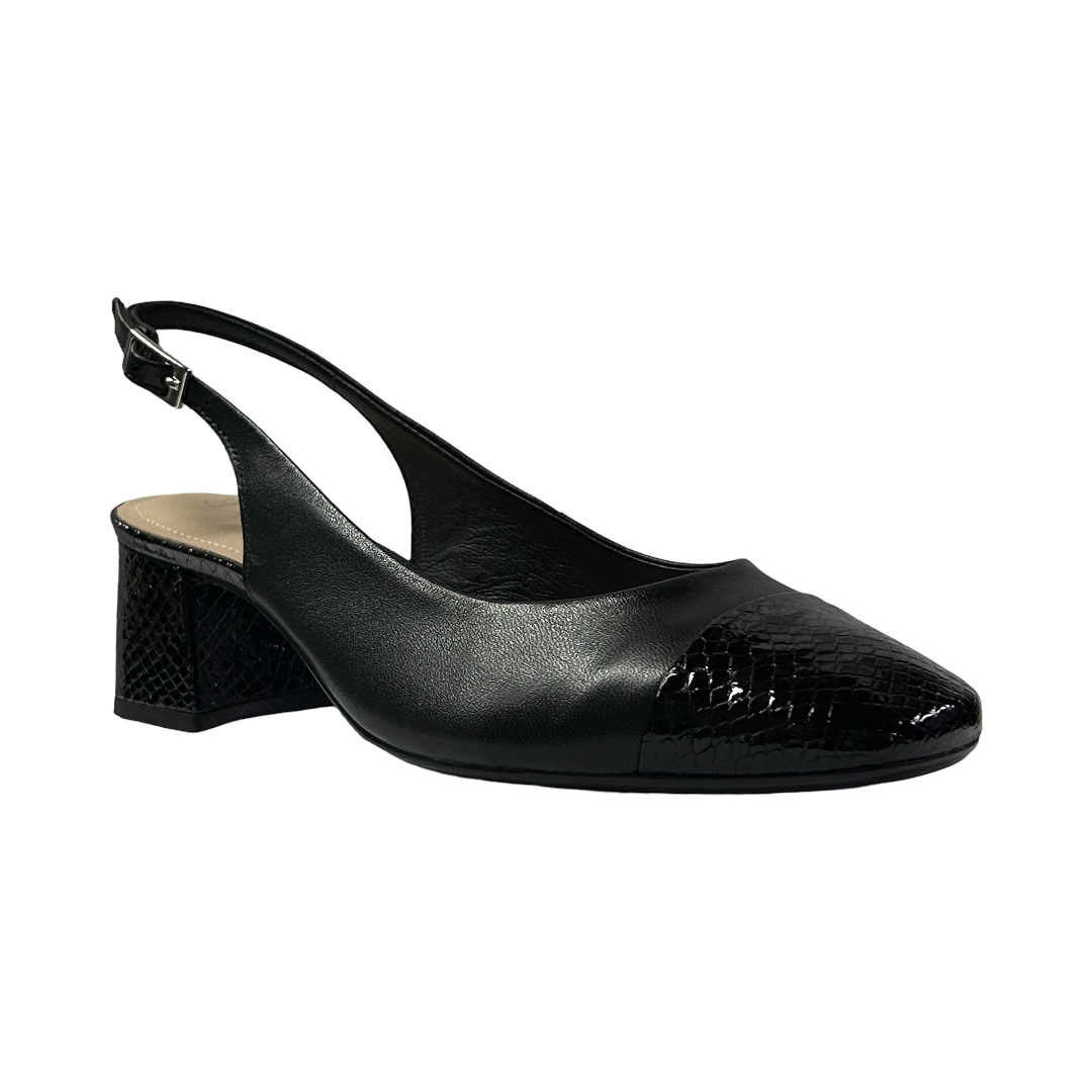 S12059-VERNIZ-NEGRO.-2-1