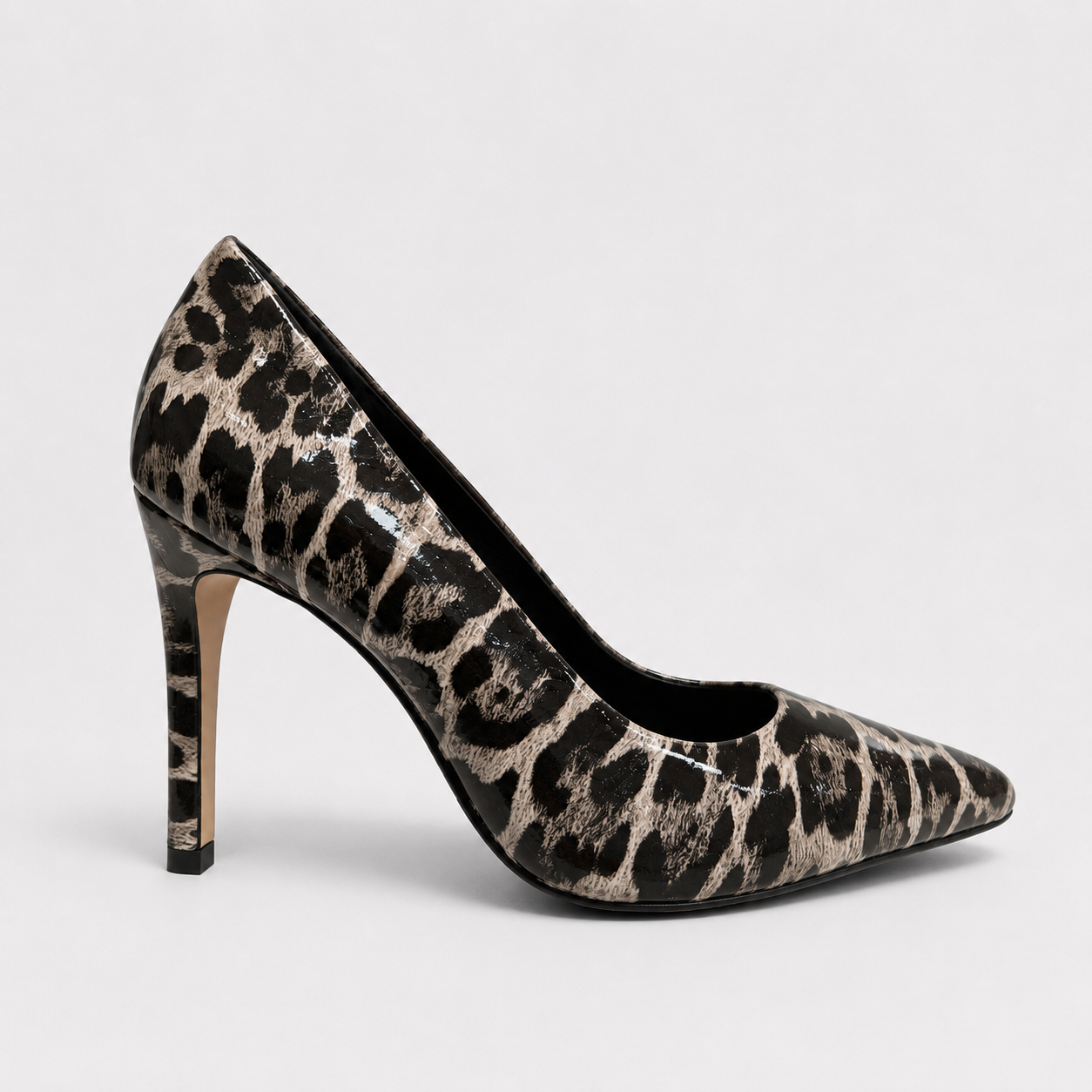 S9649 CHEETAH 1