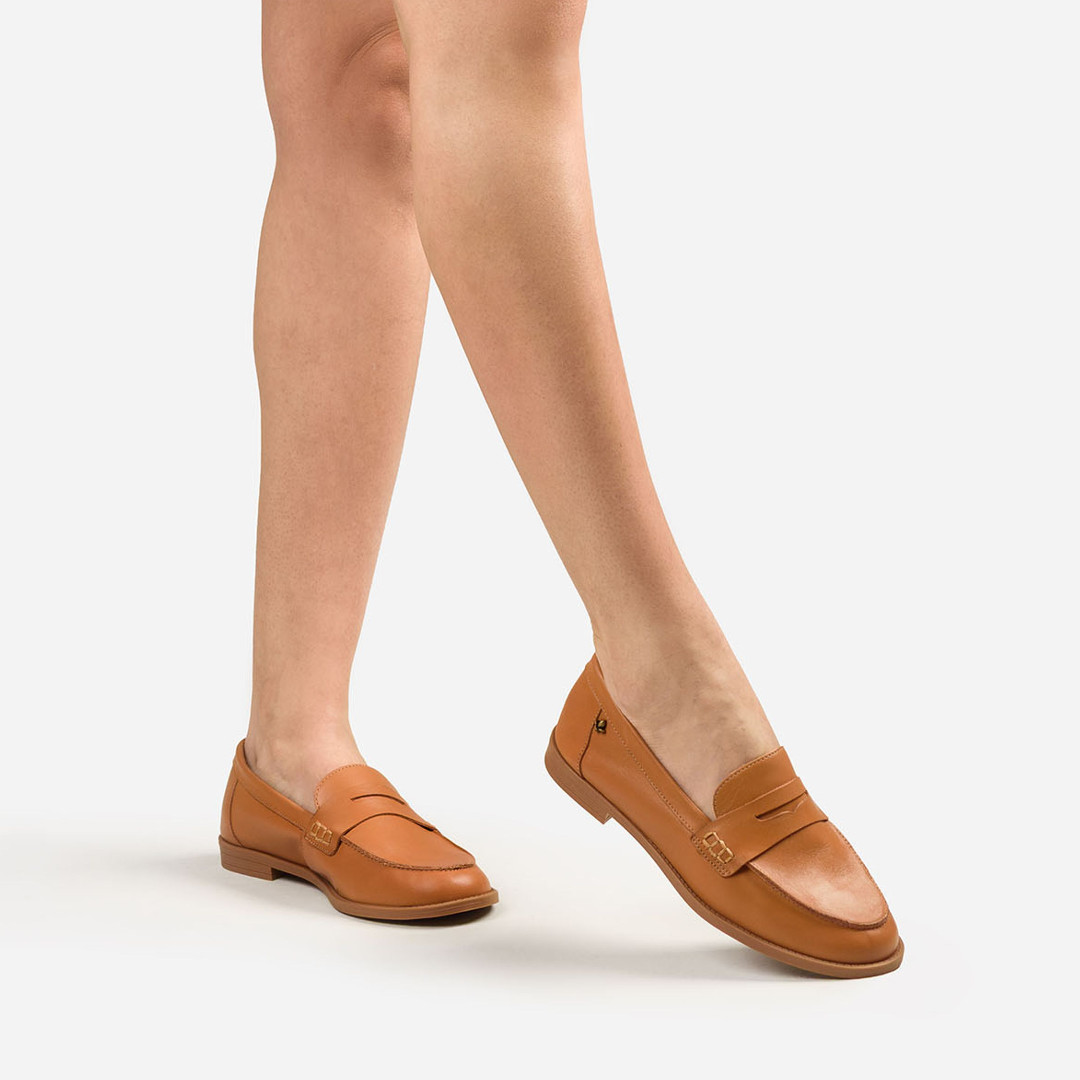 CC3508 CANELLA 2