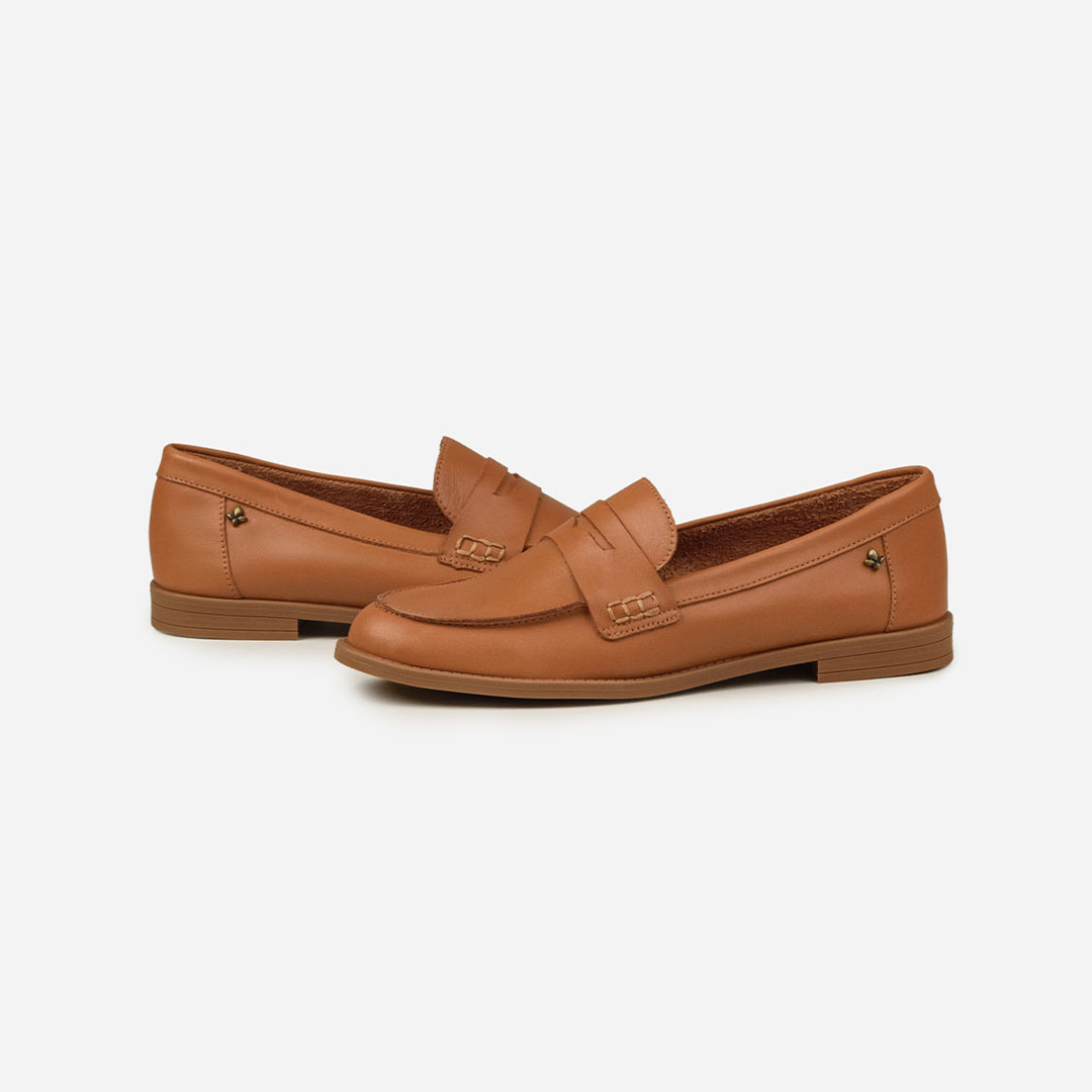 CC3508 CANELLA 3