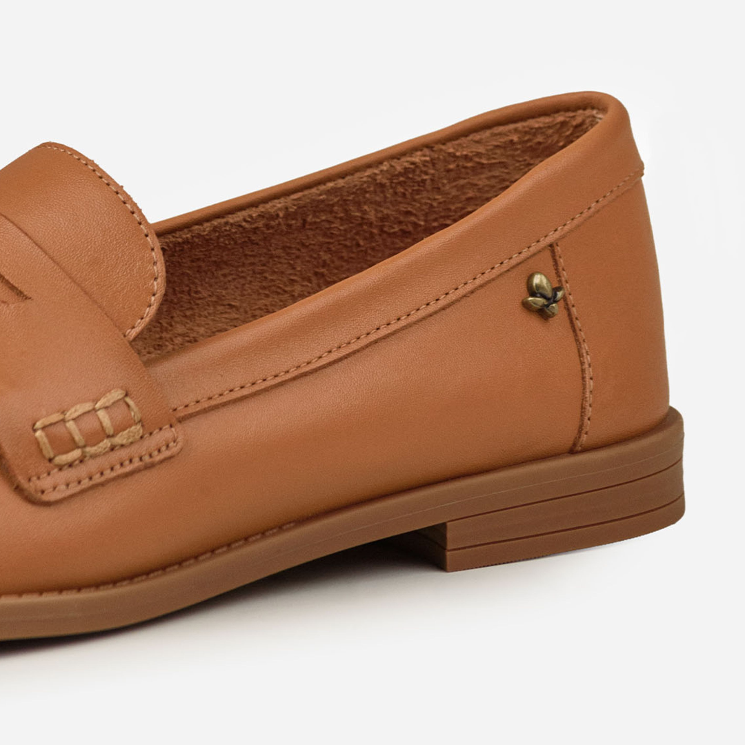 CC3508 CANELLA 4