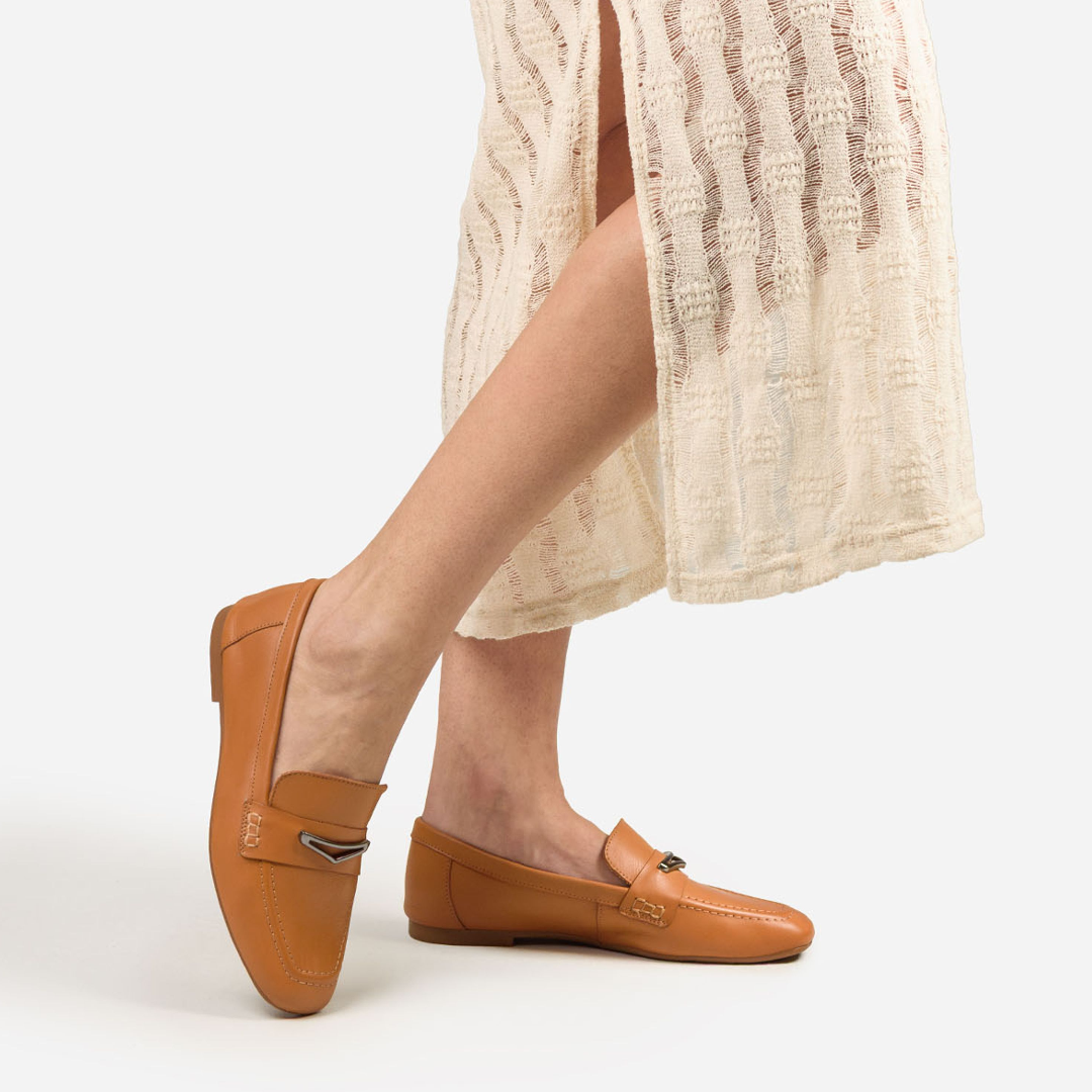 CC3510 CANELLA 2